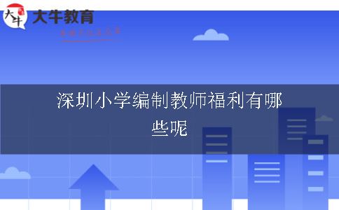 深圳小学编制教师福利,深圳小学编制教师,深圳小学