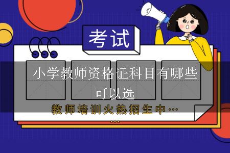 小学教师资格证科目