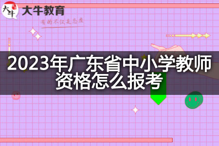 2023年广东省中小学教师资格报考