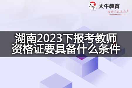 湖南2023下报考教师资格证