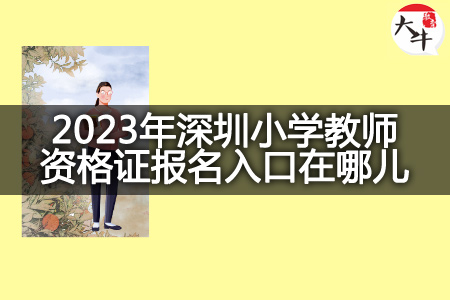 2023年深圳小学教师资格证报名入口