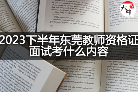 2023下半年东莞教师资格证面试