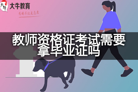 教师资格证考试毕业证