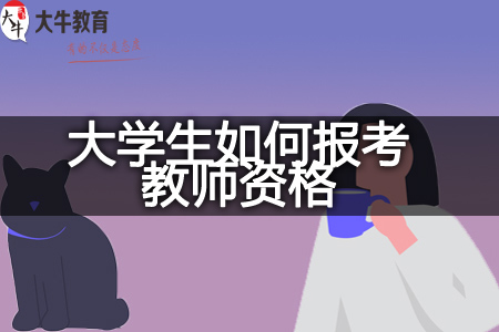 大学生考教师资格学历