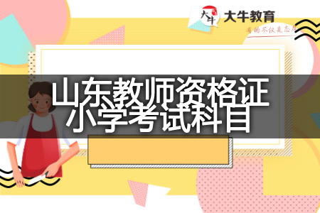 山东教师资格证小学考试科目