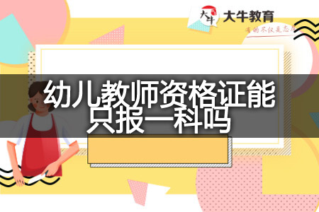 广东省幼儿教师资格证报一科