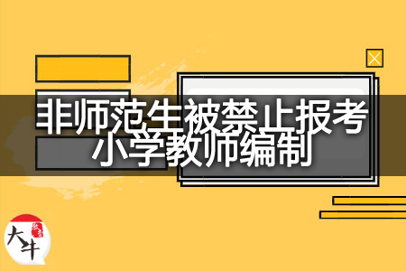 2024年非师范生禁止考小学教师编制