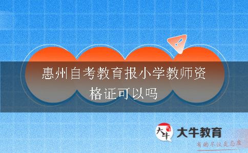 惠州自考教育报小学教师资格证可以吗