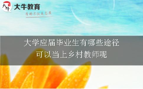 大学应届毕业生有哪些途径可以当上乡村教师呢