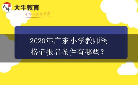 广东小学教师资格证报名