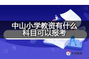 中山小学教资有什么科目可以报考？