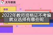 2022年教师资格证不考编就业选择有哪些呢？