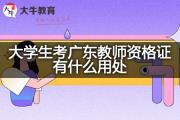 大学生考广东教师资格证有什么用处？