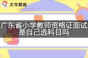 广东省小学教师资格证面试是自己选科目吗？