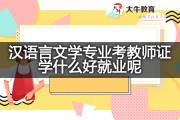 汉语言文学专业考教师证学什么好就业呢？