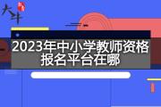 2023年中小学教师资格报名平台在哪？