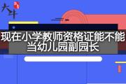 现在小学教师资格证能不能当幼儿园副园长？