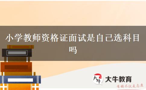 小学教师资格证面试是自己选科目吗