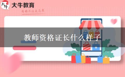 教师资格证长什么样子