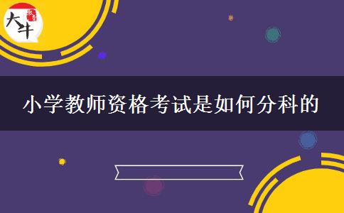 小学教师资格考试是如何分科的