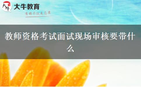 教师资格考试面试现场审核要带什么