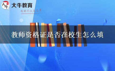 教师资格证是否在校生怎么填