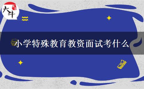 小学特殊教育教资面试考什么