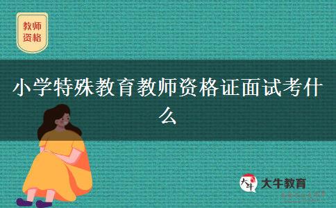 小学特殊教育教师资格证面试考什么