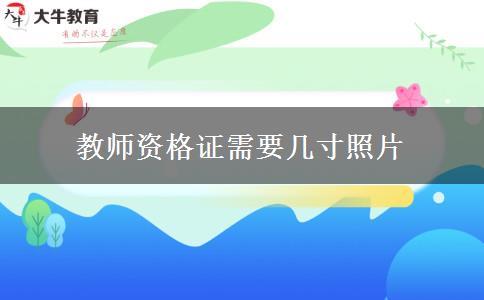 教师资格证需要几寸照片