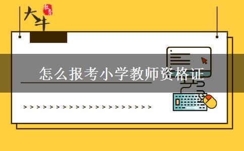 怎么报考小学教师资格证