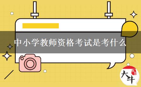 中小学教师资格考试是考什么