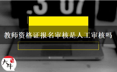 教师资格证报名审核是人工审核吗