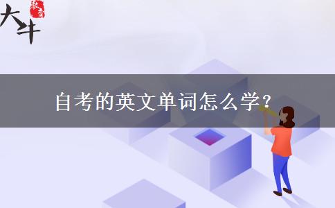 自考的英文单词怎么学？