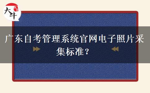 广东自考管理系统官网电子照片采集标准？