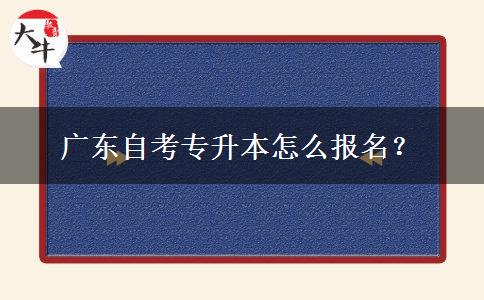 广东自考专升本怎么报名？