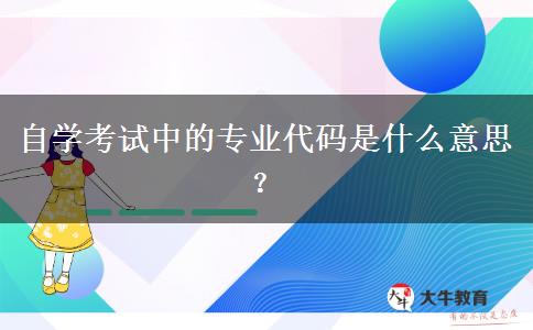 自学考试中的专业代码是什么意思？