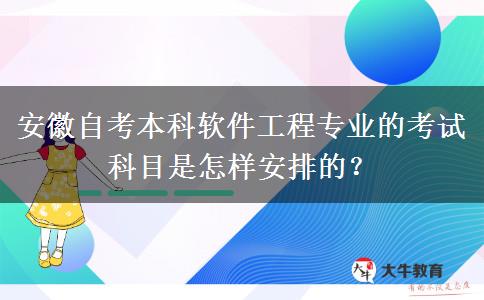 安徽自考本科软件工程专业的考试科目是怎样安排的？