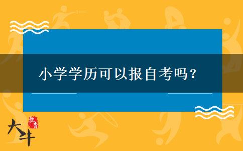 小学学历可以报自考吗？