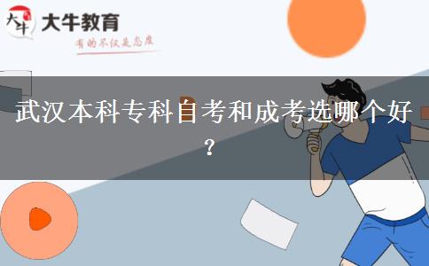 武汉本科专科自考和成考选哪个好？