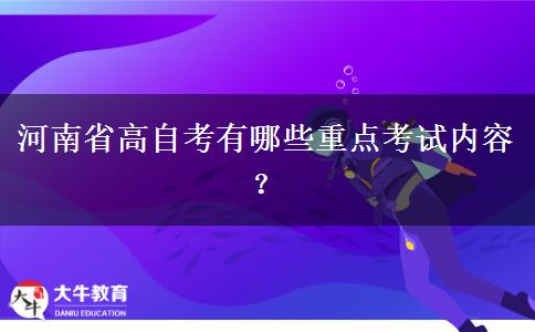 河南省高自考有哪些重点考试内容？