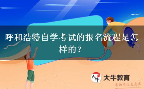 呼和浩特自学考试的报名流程是怎样的？