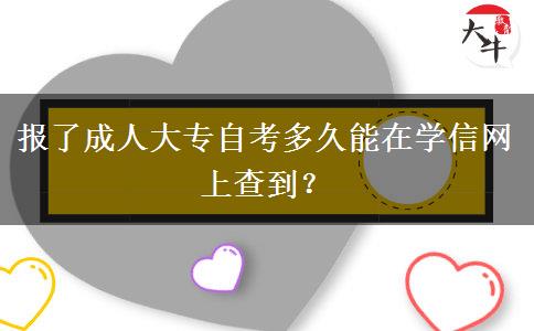 报了成人大专自考多久能在学信网上查到？