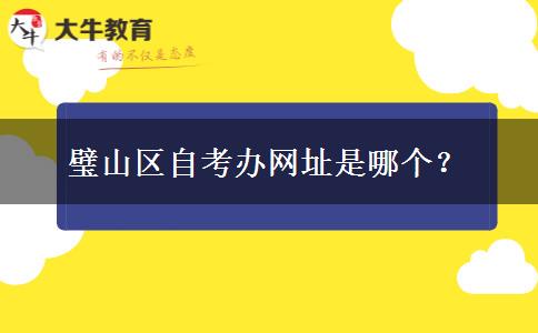 璧山区自考办网址是哪个？