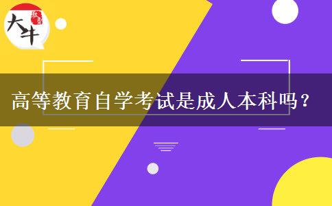 高等教育自学考试是成人本科吗？