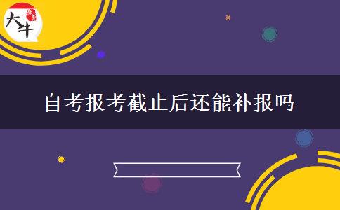 自考报考截止后还能补报吗