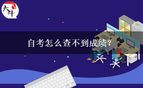 自考怎么查不到成绩？