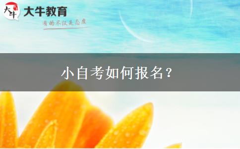 小自考如何报名？