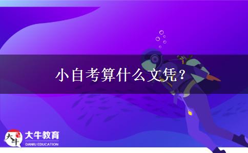 小自考算什么文凭？