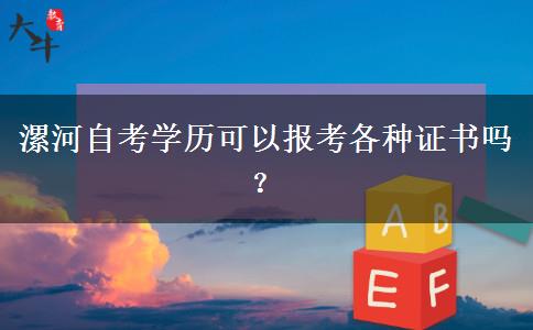 漯河自考学历可以报考各种证书吗？