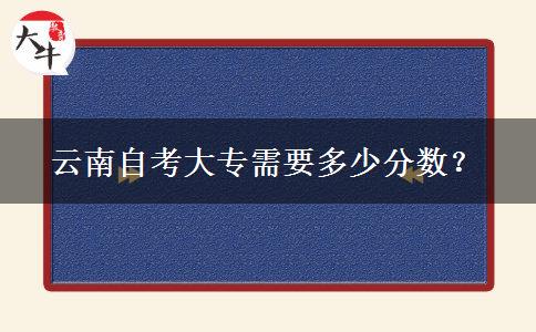 云南自考大专需要多少分数？